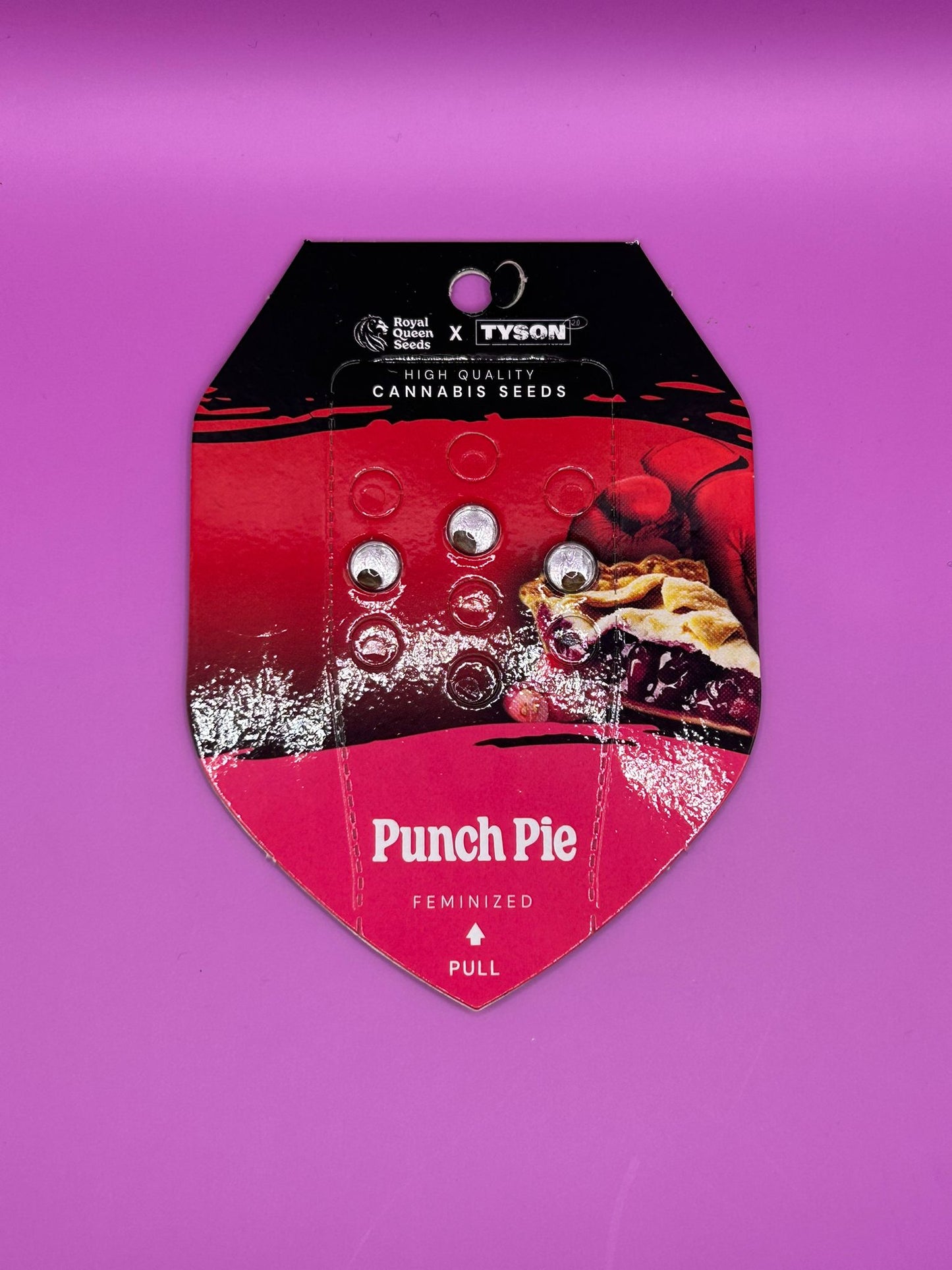 🍰 Punch Pie (Feminisierte Samen)