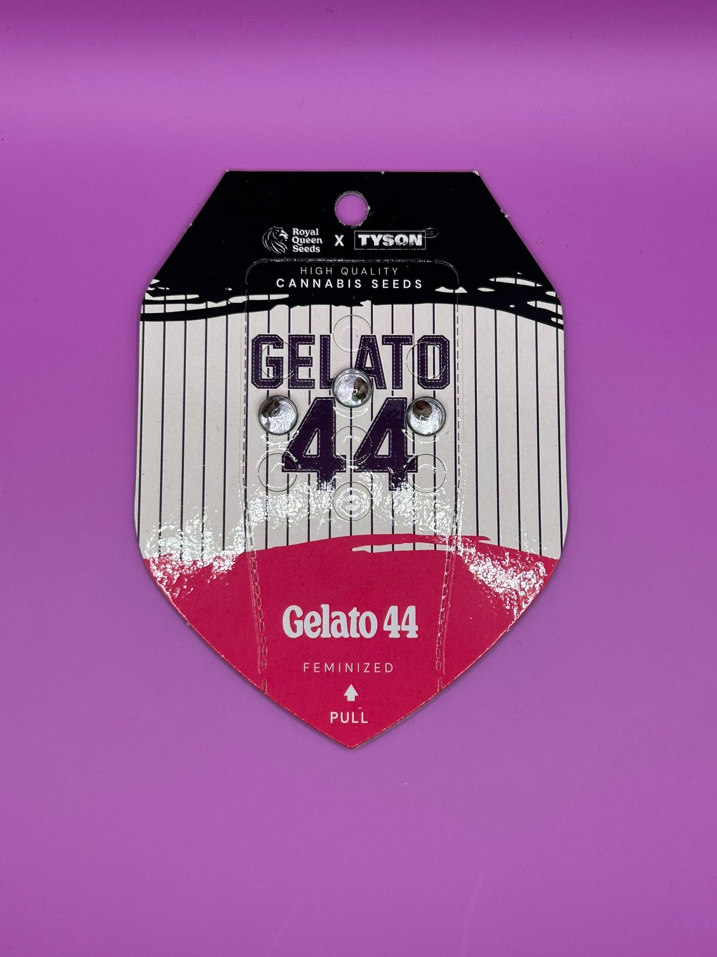 🍦 Gelato 44 (Feminisierte Samen)