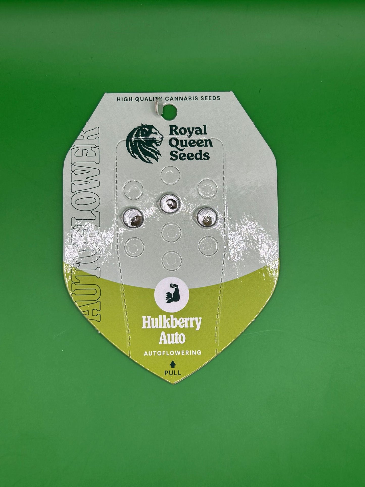 🍓 HulkBerry Auto (Autoflower)