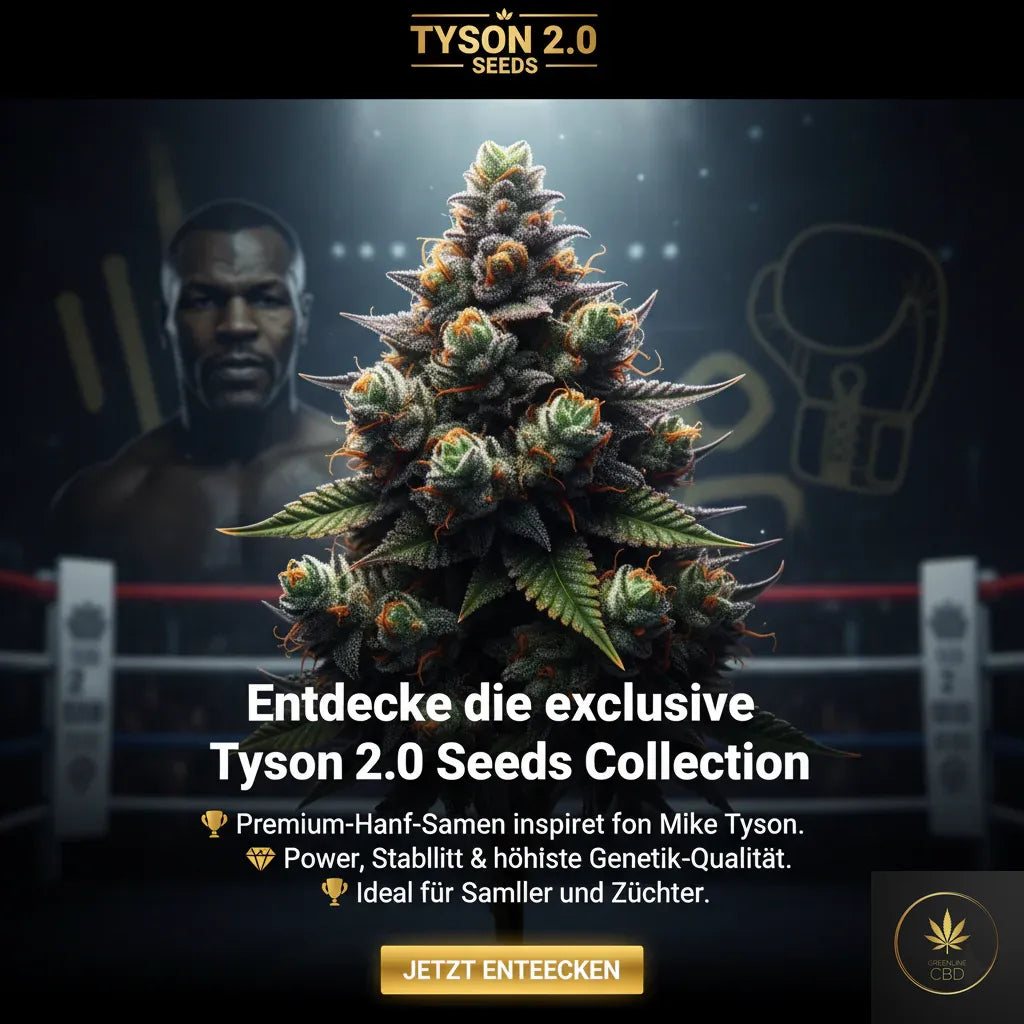 Tyson 2.0 Seeds Collection