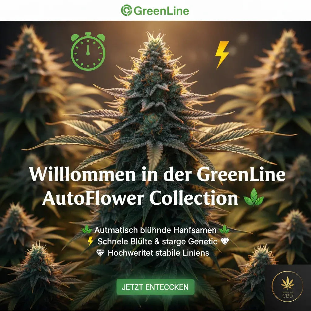 GreenLine CBD – AutoFlower Collection