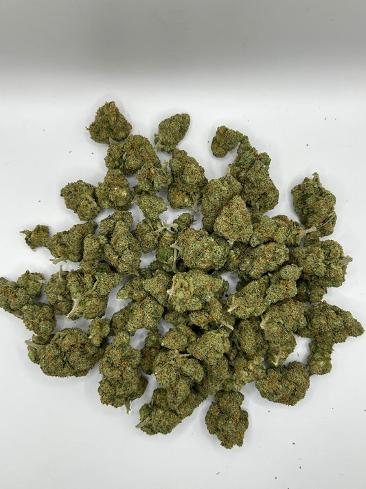 California Blueberry (Cali Genetics)