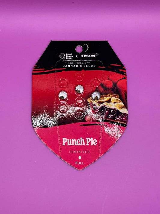 🍰 Punch Pie (Feminisierte Samen)