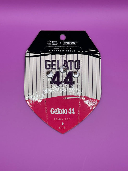 🍦 Gelato 44 (Feminisierte Samen)