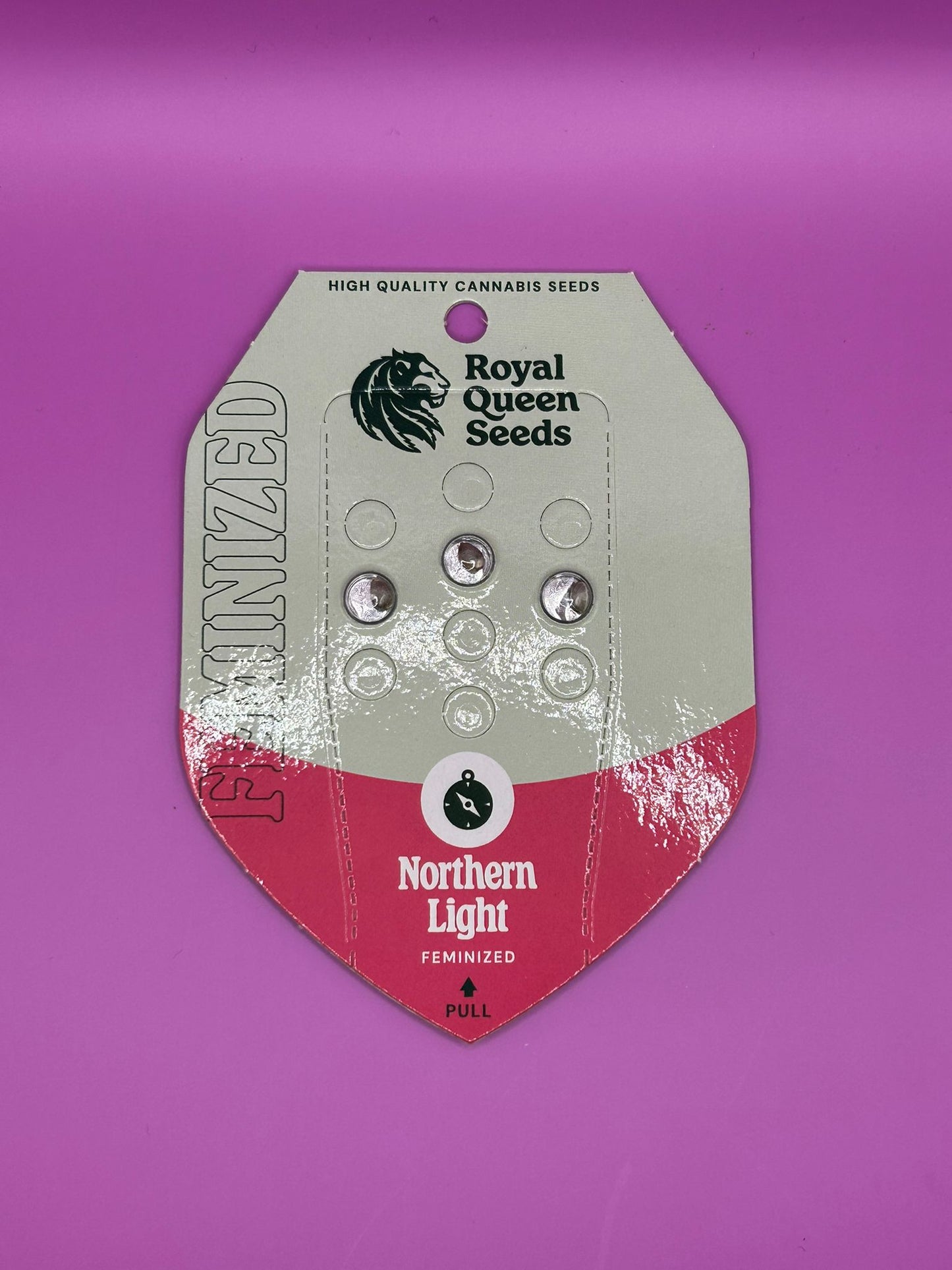 🌌 Northern Light (Feminisiert)