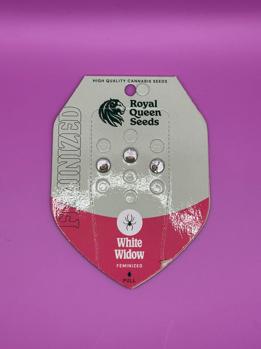 🕷️ White Widow (Feminisiert)