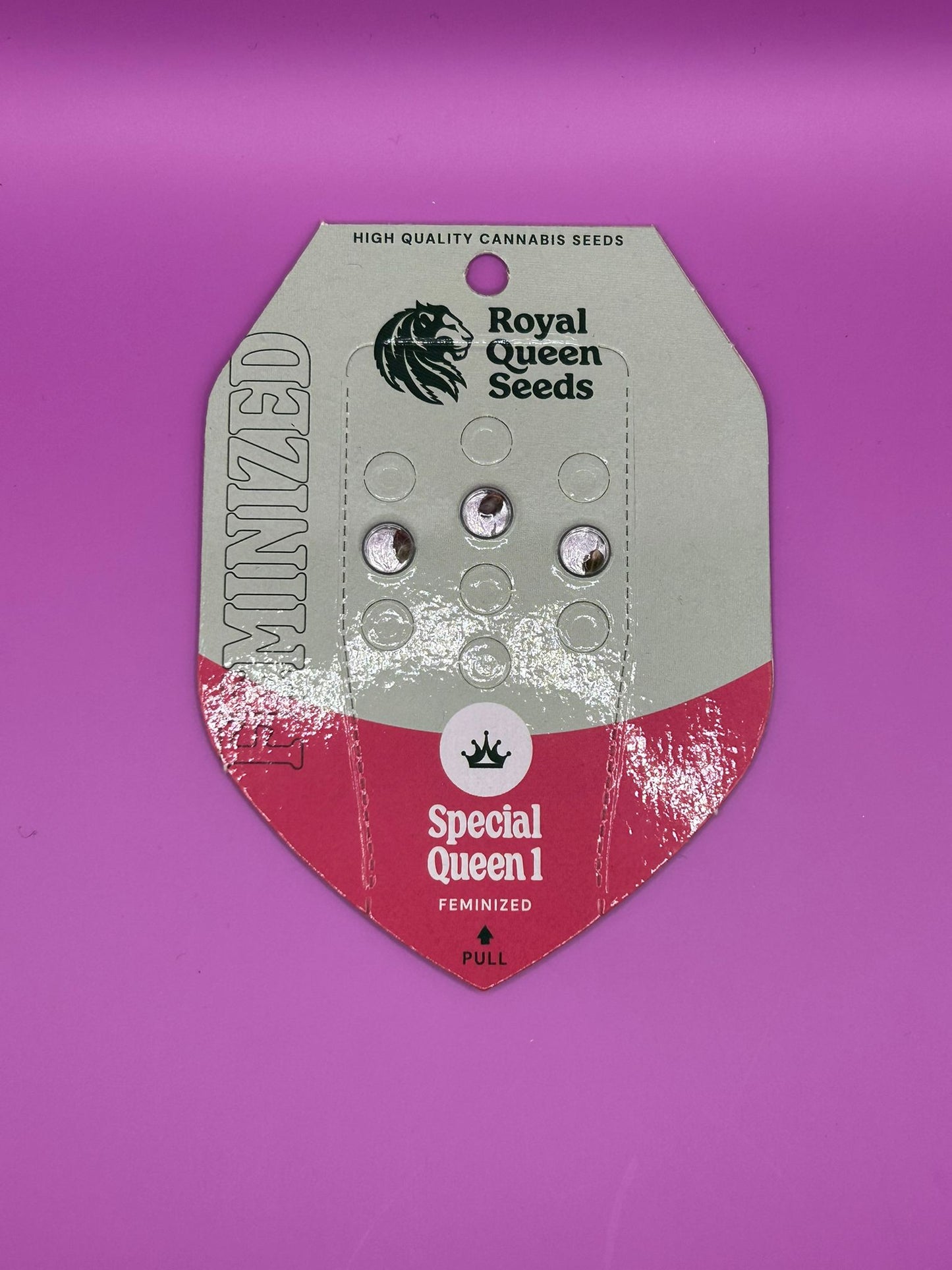 🌟 Special Queen 1 (Feminisiert)