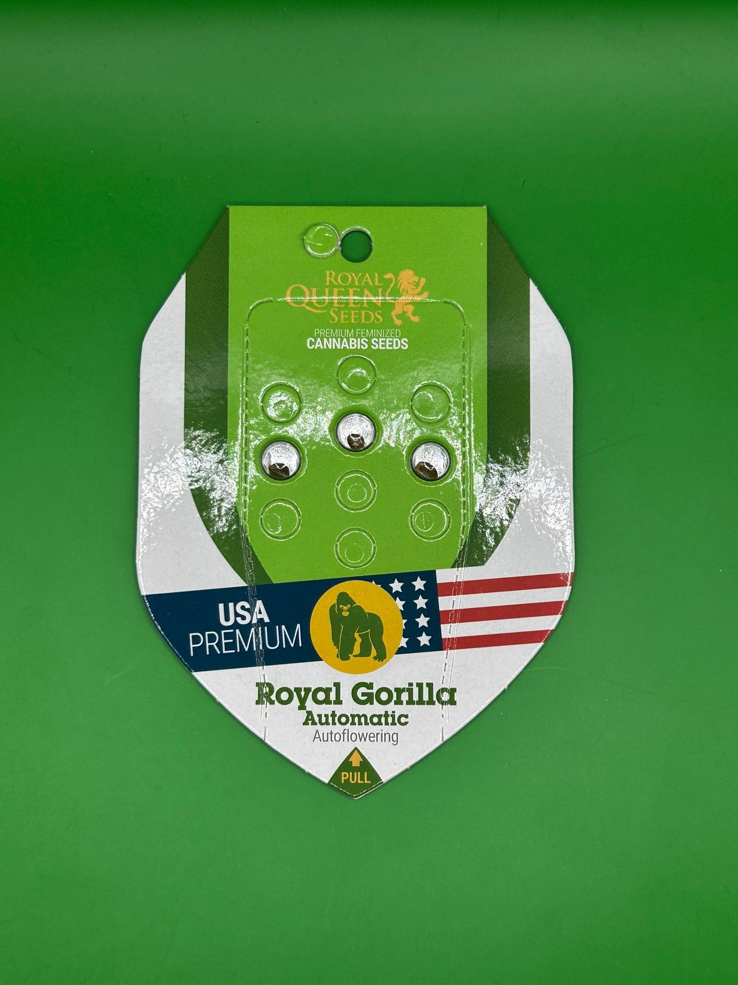 🦍 Royal Gorilla Auto (Autoflower)