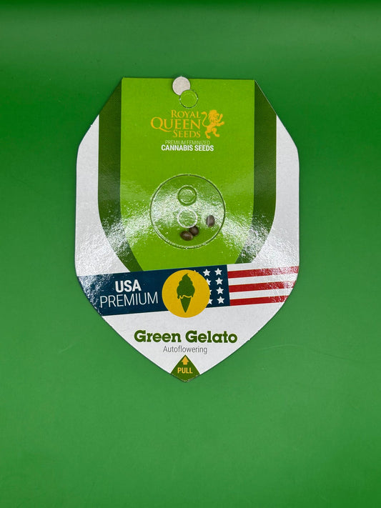 🍦 Green Gelato Auto (Autoflower)