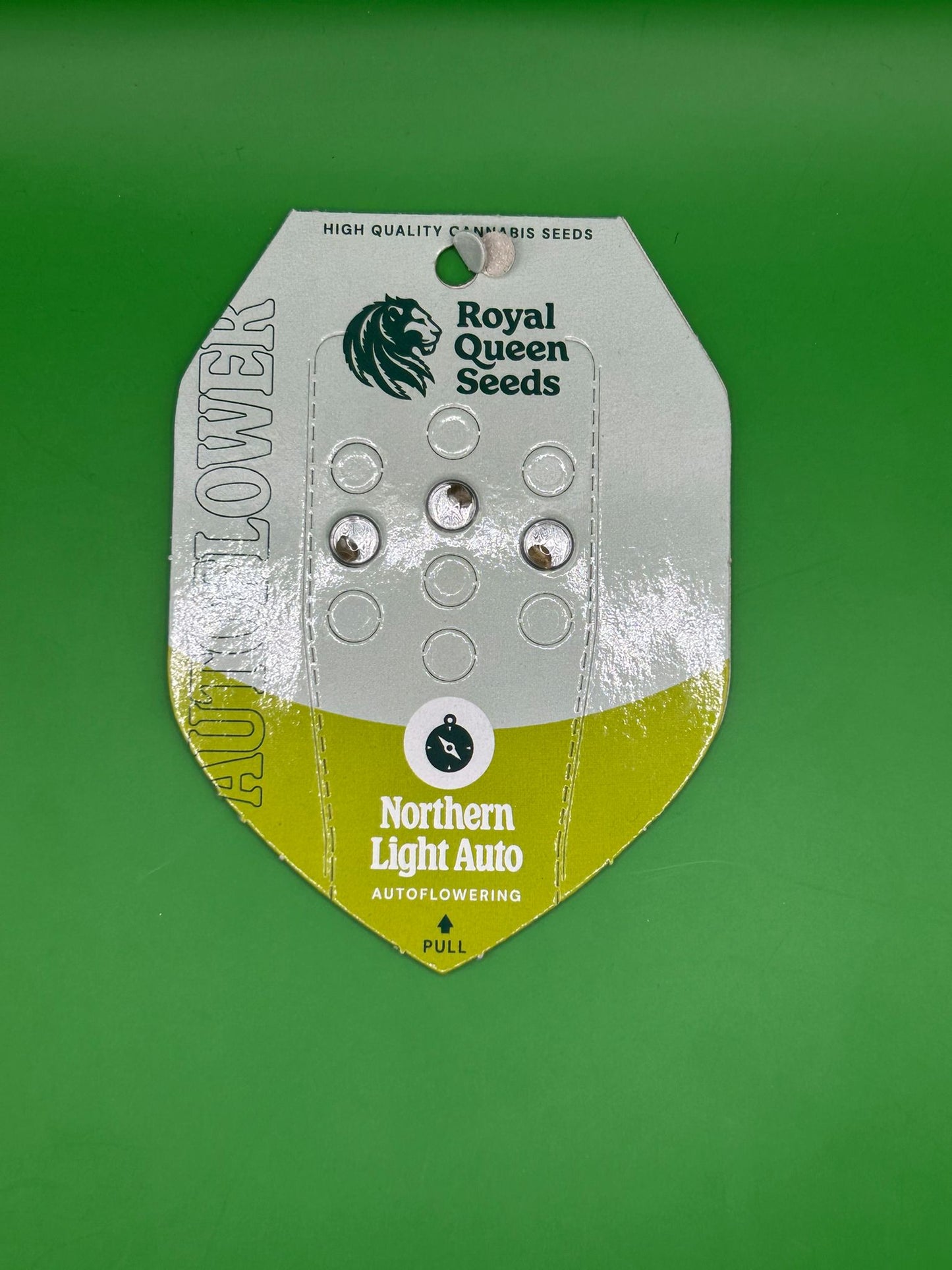 🌌 Northern Light Auto (Autoflower)