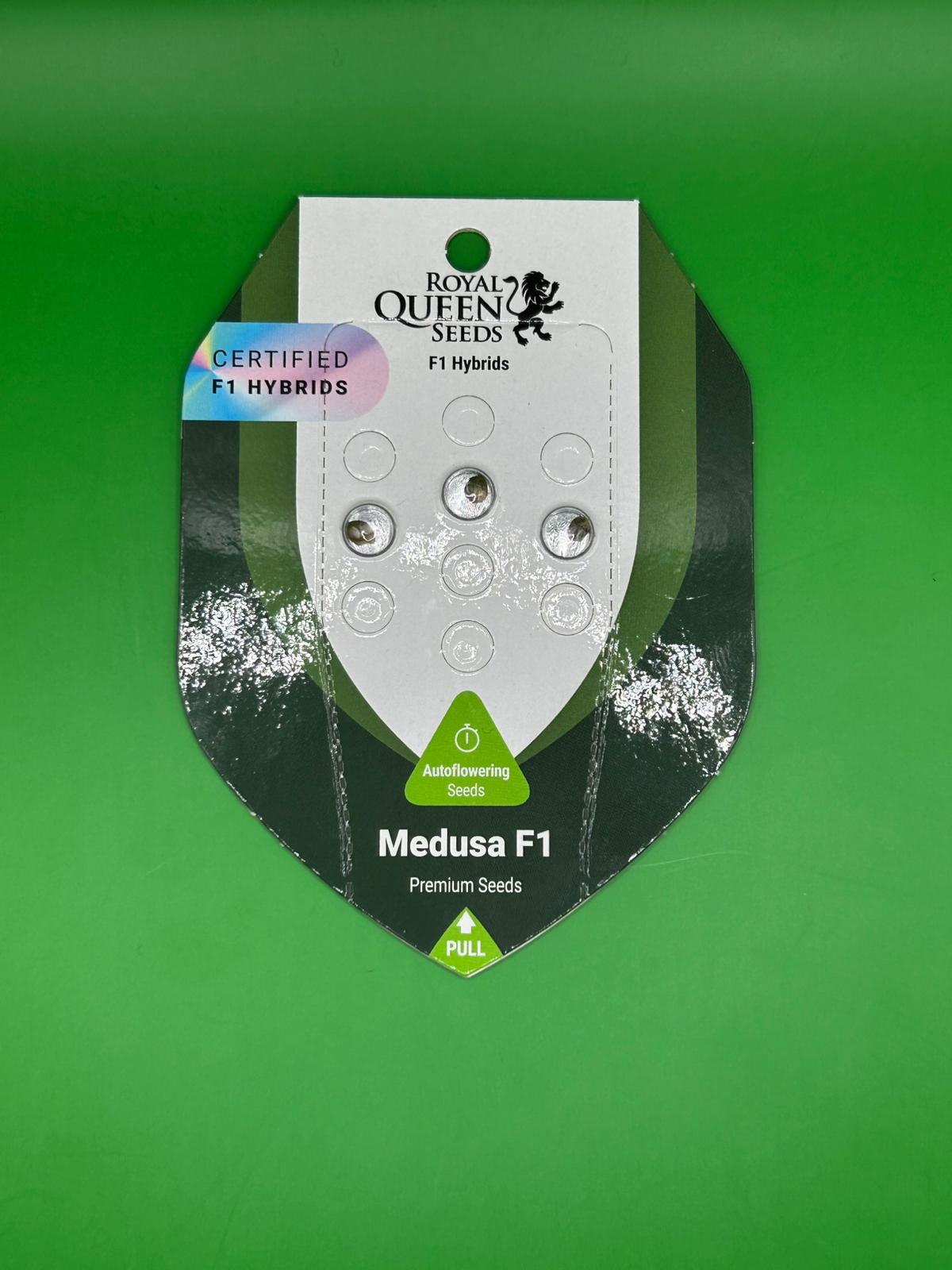 🐍 Medusa F1 (Autoflower Hybrid)